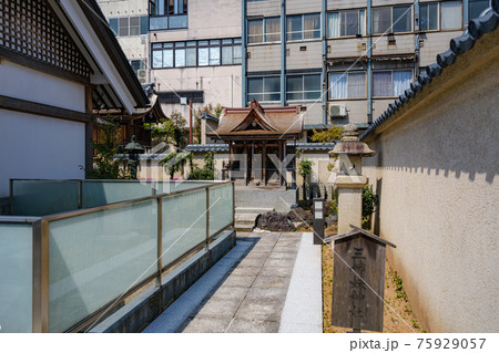 福井市 三姉妹神社 福井市 三姉妹神社 75929057