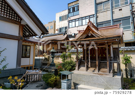 福井市 三姉妹神社 福井市 三姉妹神社 75929278