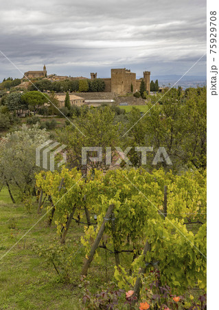 Tuscany's most famous vineyards near town Montalcino in Italy Tuscany's most famous vineyards near town Montalcino in Italy 75929708