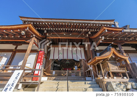 京都　春の上賀茂神社　本殿 75930310