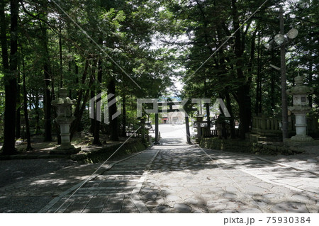 諏訪大社下社秋宮参拝 諏訪大社下社秋宮参拝 75930384