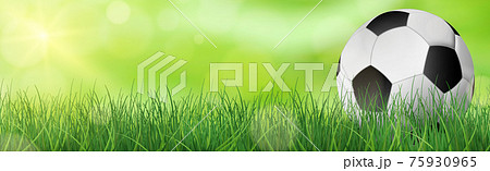 Realistic soccer ball lies on green grass lawn - Vector 75930965