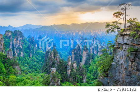 Quartzite sandstone pillars and peaks with green trees and mountains sunset panorama, Zhangjiajie national forest park, Hunan province, China 75931132