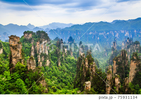 Quartzite sandstone pillars and peaks with green trees and mountains panorama, Zhangjiajie national forest park, Hunan province, China 75931134
