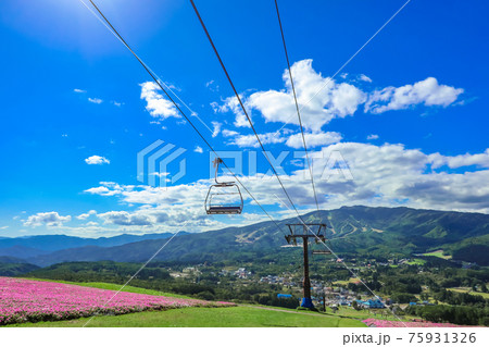 絶景の高原リゾート、ひるがのピクニックガーデン〈岐阜県郡上市〉 絶景の高原リゾート、ひるがのピクニックガーデン〈岐阜県郡上市〉 75931326