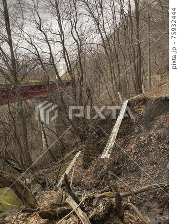 道路地滑り　ガードレール　落ち葉　埋もれる 75932444