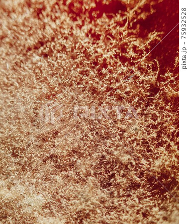 natural mold on red, abstract background 75932528