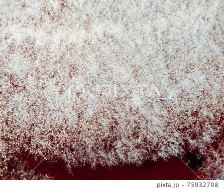 natural mold texture, abstract background natural mold texture, abstract background 75932708