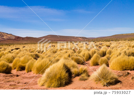 Bolivian mountains landscape,Bolivia Bolivian mountains landscape,Bolivia 75933027