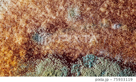 natural mold texture, abstract background natural mold texture, abstract background 75933119