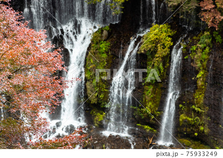 静岡県富士宮市 白糸の滝 静岡県富士宮市 白糸の滝 75933249