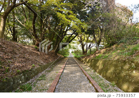 福岡市動植物園の散歩道 福岡市動植物園の散歩道 75933357