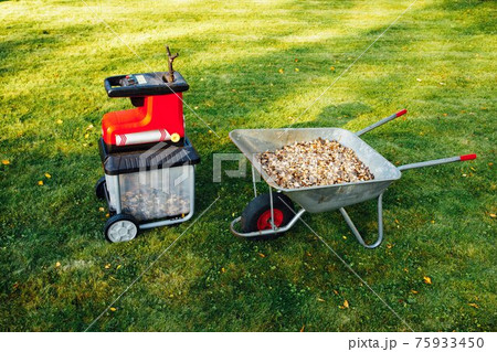 garden chipper, electric shredder (mulcher) with wheelbarrow full of wooden mulch, green grass background 75933450