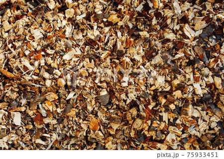 wooden mulch background, closeup view 75933451
