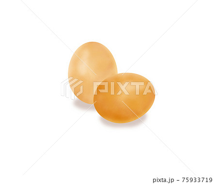 リアルな卵のイラストレーションのイラスト素材