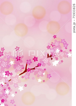 桜の花の枝のピンク背景　縦版 75933826