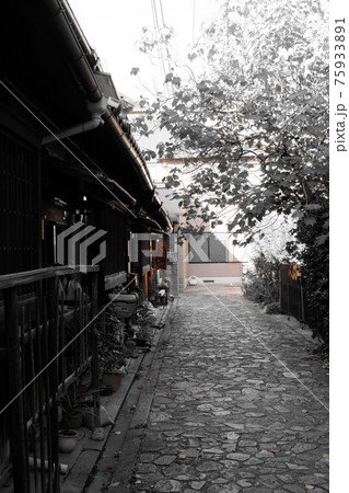 あべの裏路地の風景 75933891