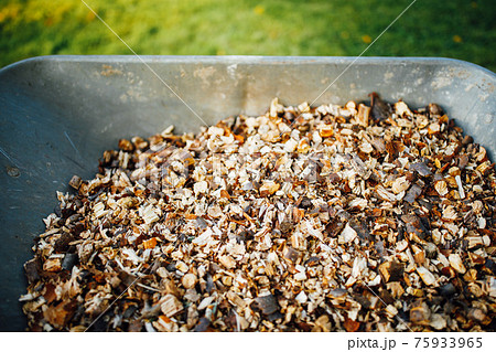 wheelbarrow full of wooden mulch, closeup view 75933965