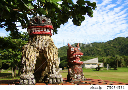 沖縄の守護神シーサー　Shisa in Okinawa Japan 75934531