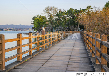 滋賀県の琵琶湖と膳所城跡公園 滋賀県の琵琶湖と膳所城跡公園 75934613
