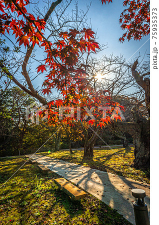 日本の秋の風景、小丸山城址公園の紅葉、七尾市、11月12日、日本 75935373