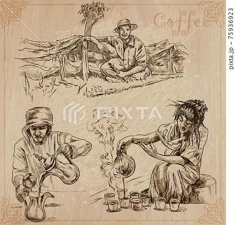 Coffee harvesting and processing. Agriculture. An hand drawn vector illustration. 75936923