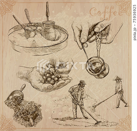 Coffee harvesting and processing. Agriculture. An hand drawn vector illustration. 75936925