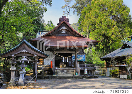 紫尾神社（賽銭箱の下は紫尾温泉の源泉！） 75937016