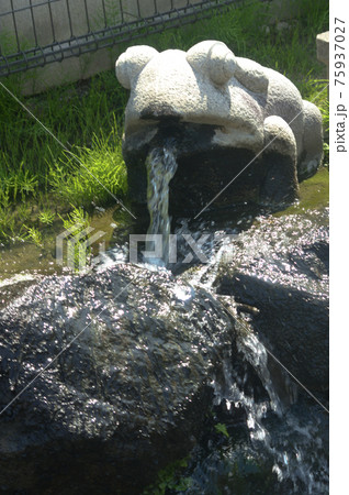 口から水が滴り落ちるカエルの装飾湯口の石像 75937027