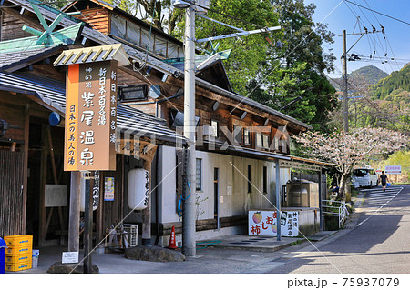 春の紫尾温泉 春の紫尾温泉 75937079