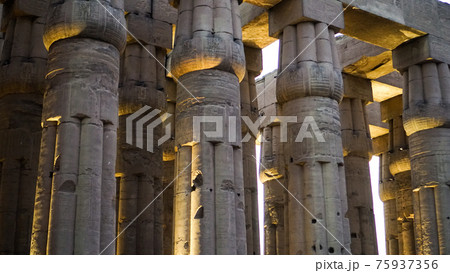 Karnak temple of Luxor architecture column detail close-up wiht uplight in evening 75937356