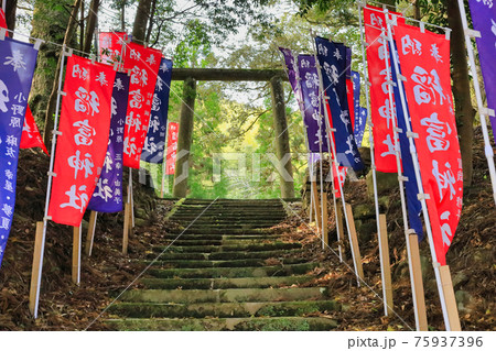 稲富神社（鹿児島県薩摩郡さつま町求名） 75937396