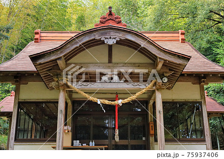 稲富神社（鹿児島県薩摩郡さつま町求名） 75937406
