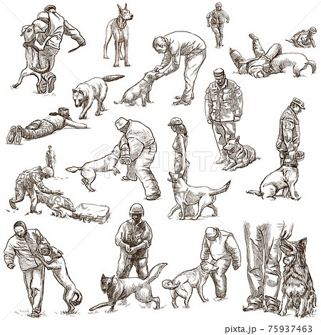 Dogs - dog training. Collection, pack of freehand sketches. Line art on white. 75937463