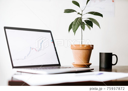 stocks price rising graph data trend on laptop screen stocks price rising graph data trend on laptop screen 75937872