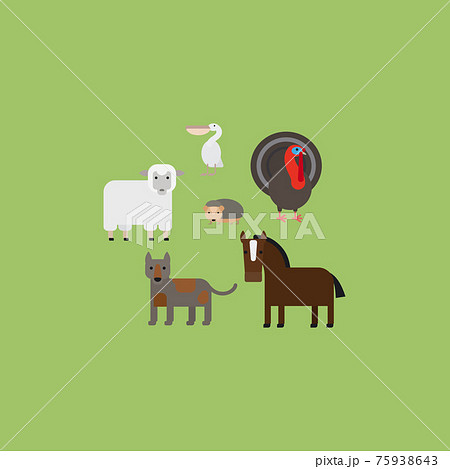 Different animals flat design icons set 75938643