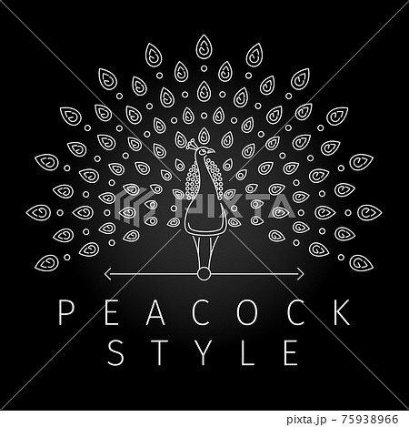 Thin Line Peacock Logo Stock Illustration