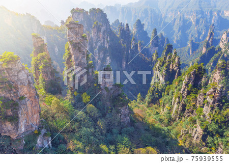 Colorful cliffs in Zhangjiajie Forest Park at sunrise. Colorful cliffs in Zhangjiajie Forest Park at sunrise. 75939555