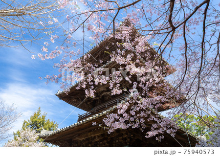 春の道成寺 春の道成寺 75940573