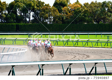 春の中京 ダート 春の中京 ダート 75940897