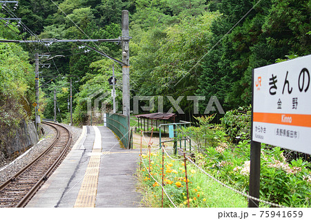 JR東海　飯田線　金野駅（秘境駅） 75941659