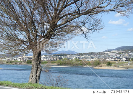 宇治川からの風景 宇治市山間の景観 宇治川からの風景 宇治市山間の景観 75942473