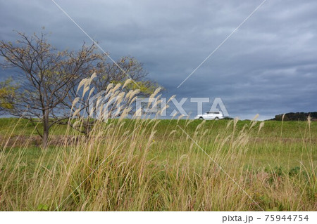 筑後川の四季・GOTOトラベル 九州福岡県 観光スポット 75944754