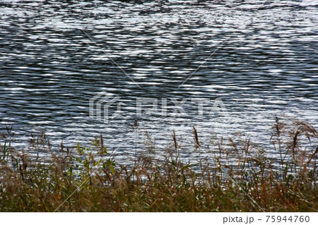 筑後川の四季・GOTOトラベル 九州福岡県 観光スポット 75944760