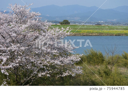 筑後川の四季・GOTOトラベル 九州福岡県 観光スポット 75944785