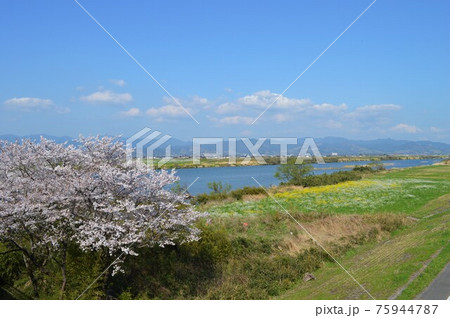 筑後川の四季・GOTOトラベル 九州福岡県 観光スポット 75944787