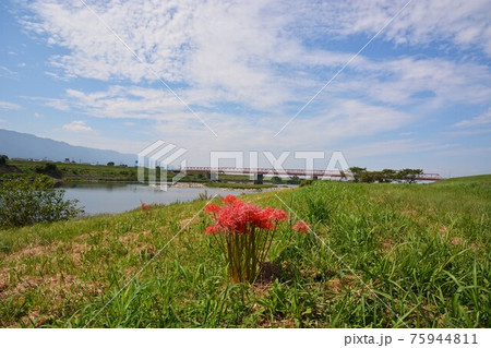 筑後川の四季・GOTOトラベル 九州福岡県 観光スポット 75944811