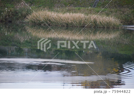 筑後川の四季・GOTOトラベル 九州福岡県 観光スポット 75944822