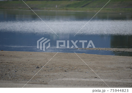 筑後川の四季・GOTOトラベル 九州福岡県 観光スポット 75944823