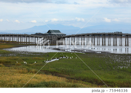 八甲田山と鶴の舞橋 75946336